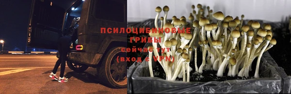 герыч Надым