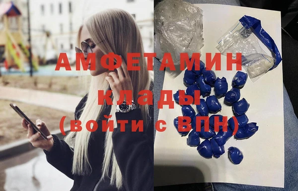 прущие грибы Михайловка