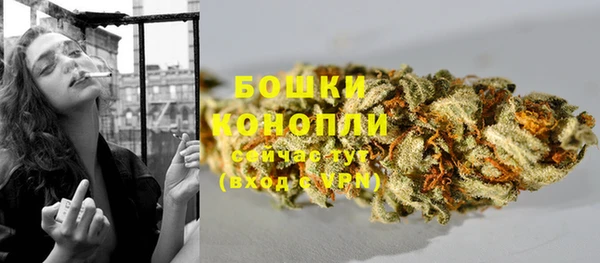 молекула духа Навашино