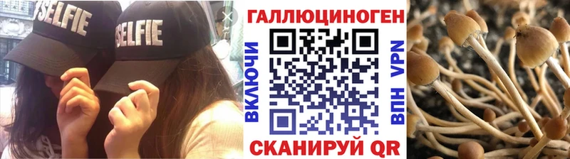 Псилоцибиновые грибы Psilocybine cubensis Тетюши